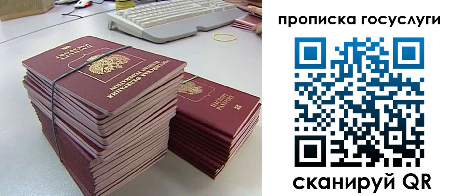 временная регистрация для школы в Никольском